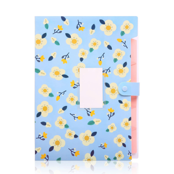 Expanding File Folder with Snap Botton Closure